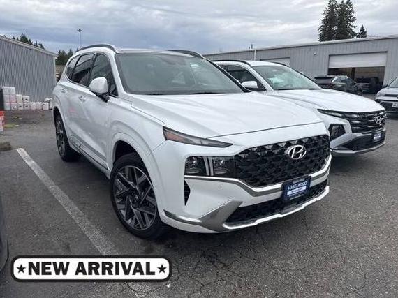 HYUNDAI SANTA FE 2021 5NMS5DAL5MH355052 image